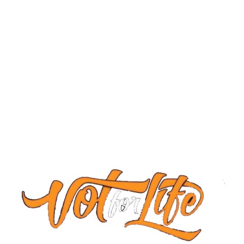 480x480 Tennessee Vols Football