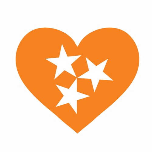 500x500 Tennessee Volunteers Auto Accessories