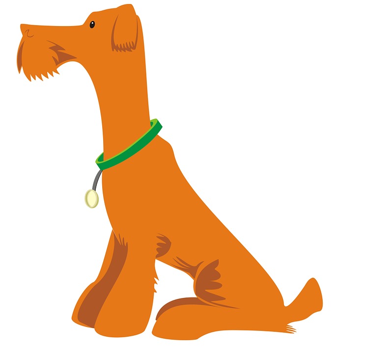 743x720 Terrier Cliparts