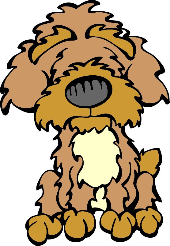 555x800 Yorkies Clipart Poodle