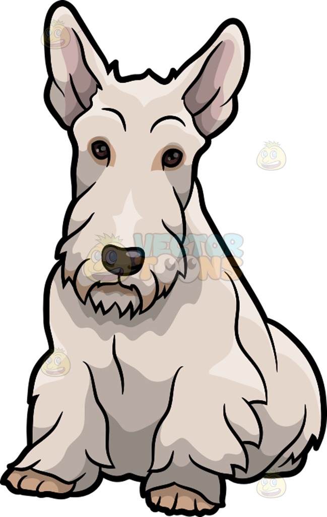 649x1024 A Quiet Scottish Terrier Dog Cartoon Clipart Vector Toons