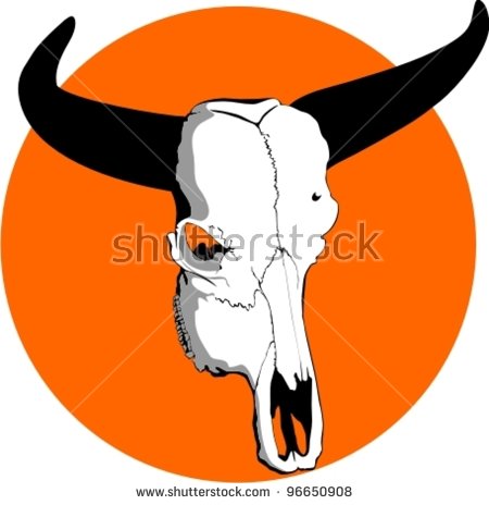 450x464 Longhorn Cattle Clipart Thin