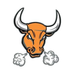 250x250 Stingray Front Bw Clip Art