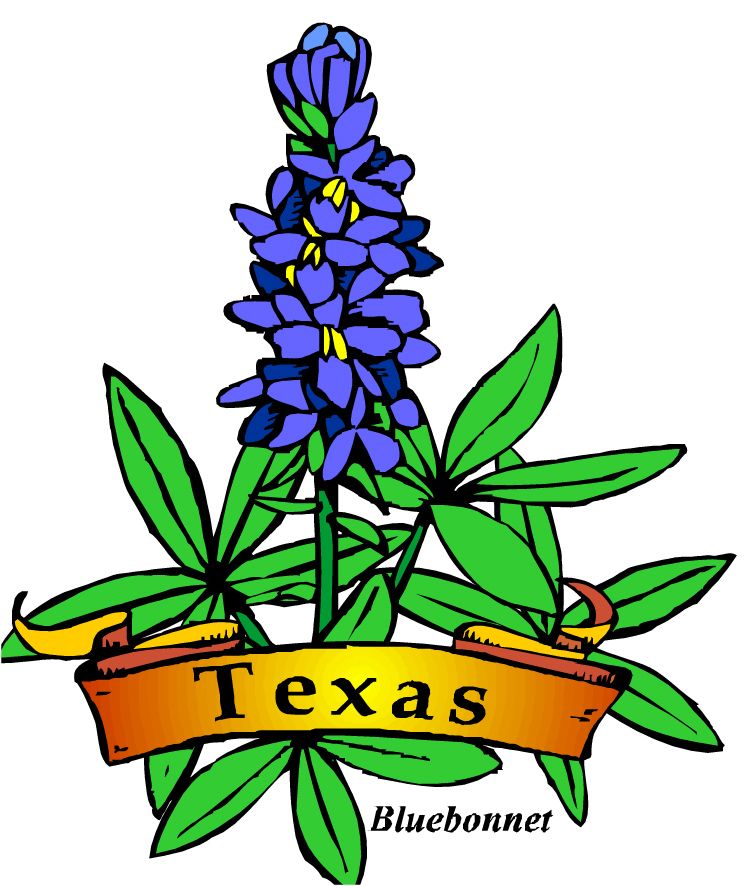 750x886 Staggering Texas Clipart Clip Art At Clker Com Vector Online