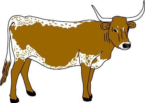 500x358 Longhorn Cattle Clipart Longhorn Football