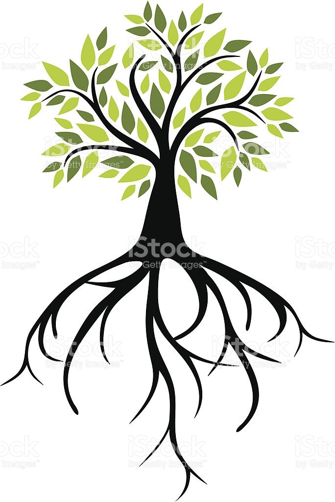 684x1024 Roots Clipart Black And White Elegant Silhouette A Tree Roots Clip