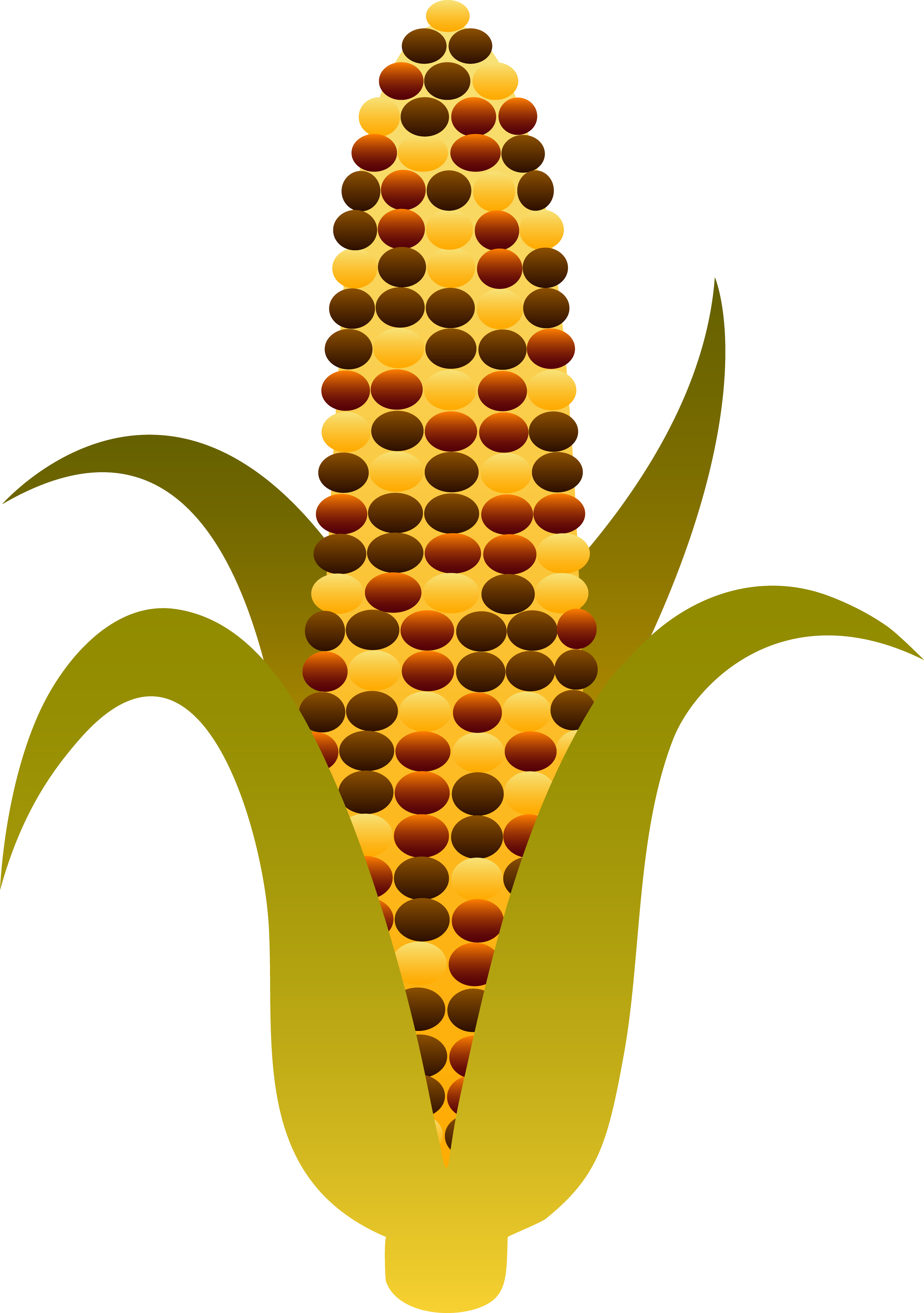 3751x5330 Thanksgiving Clipart Corn