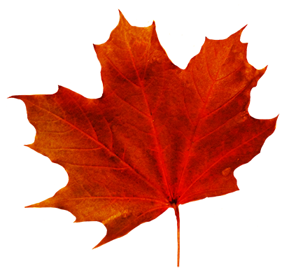 413x383 Autumn Leaf Clip Art
