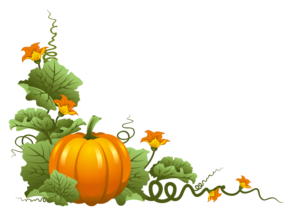 933x688 Turning Plain Pumpkins Into Elegant For Thanksgiving Cream White