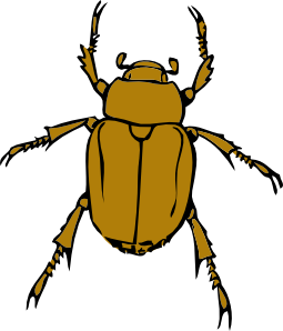 255x298 Beetle Bug Clip Art