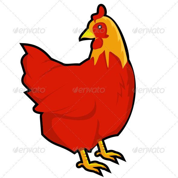 590x590 Red Hen By Haditahir Graphicriver