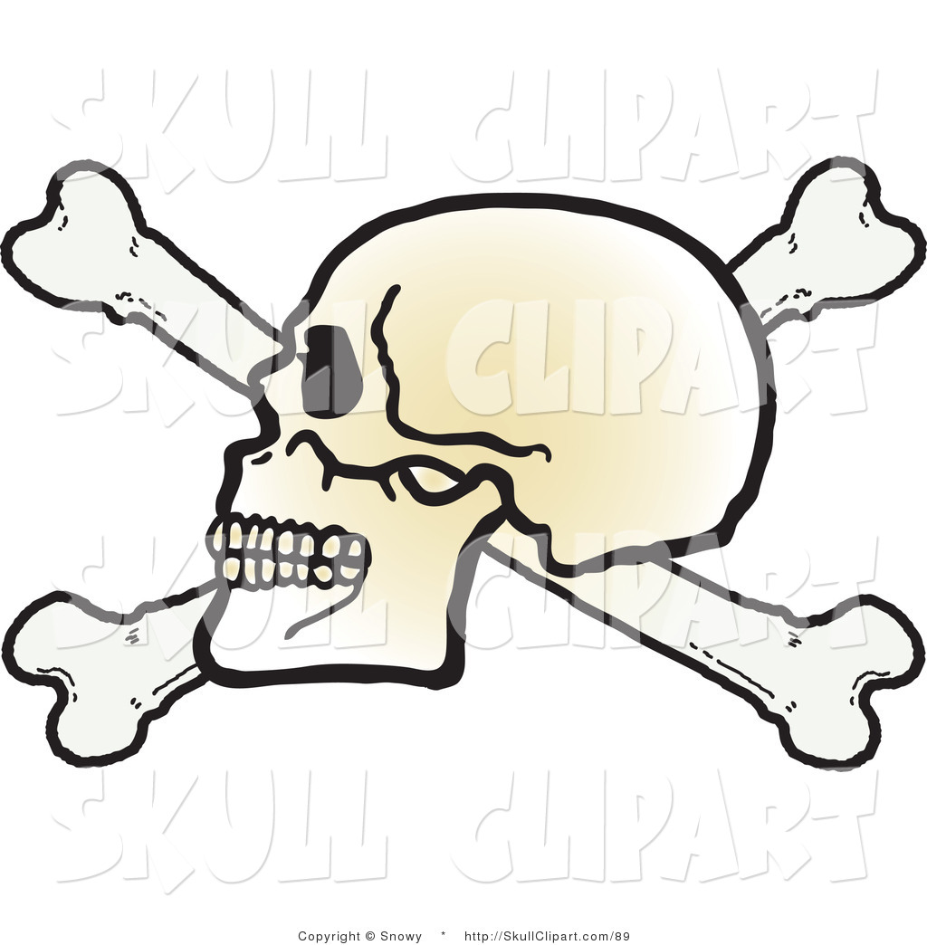 1024x1044 Vector Clip Art Of A Human Skull Facing Left On Top Of Crossbones