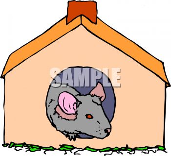 350x321 Little Pet Mouse Or Rodent In A Mouse House