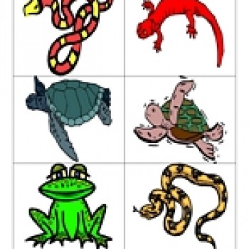 350x350 Amphibians And Reptiles Clip Art Have Fun Teaching
