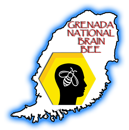 430x432 Brain Bee News