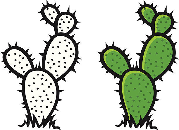 Thorn Clipart