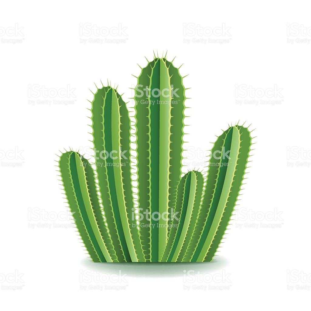 1024x1024 Spurge Clipart