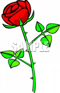 195x300 Pictures Rose With Thorns Clip Art,