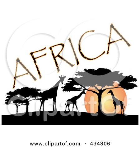 450x470 Royalty Free (Rf) Clipart Of Umbrella Thorn Trees, Illustrations