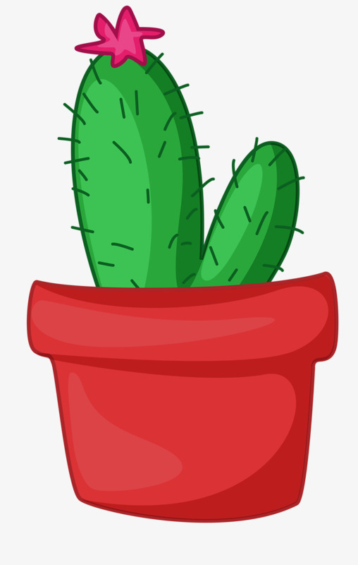 508x800 Cacti, Thorn, Cactus, Plant Png Image And Clipart For Free Download