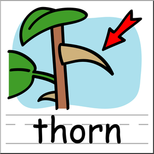 304x304 Clip Art Basic Words Thorn Color Labeled I Abcteach