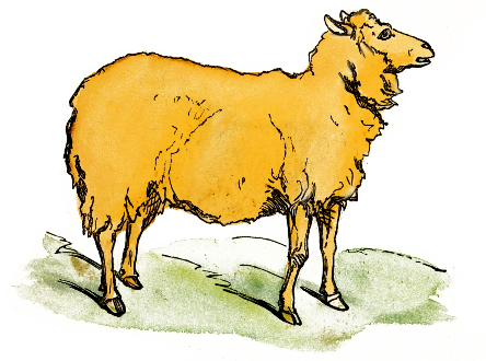 444x330 Free Sheep Clipart