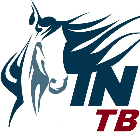 473x473 Thoroughbred Clip Art Free Cliparts