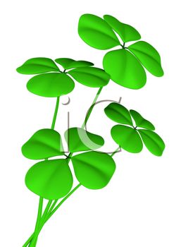 257x350 3 Leaf Clover Clipart