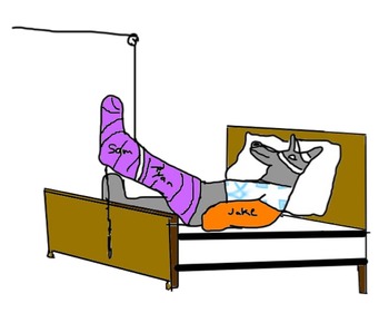 350x281 Three Little Pigs Math Word Problems By Maggie Freitag Tpt