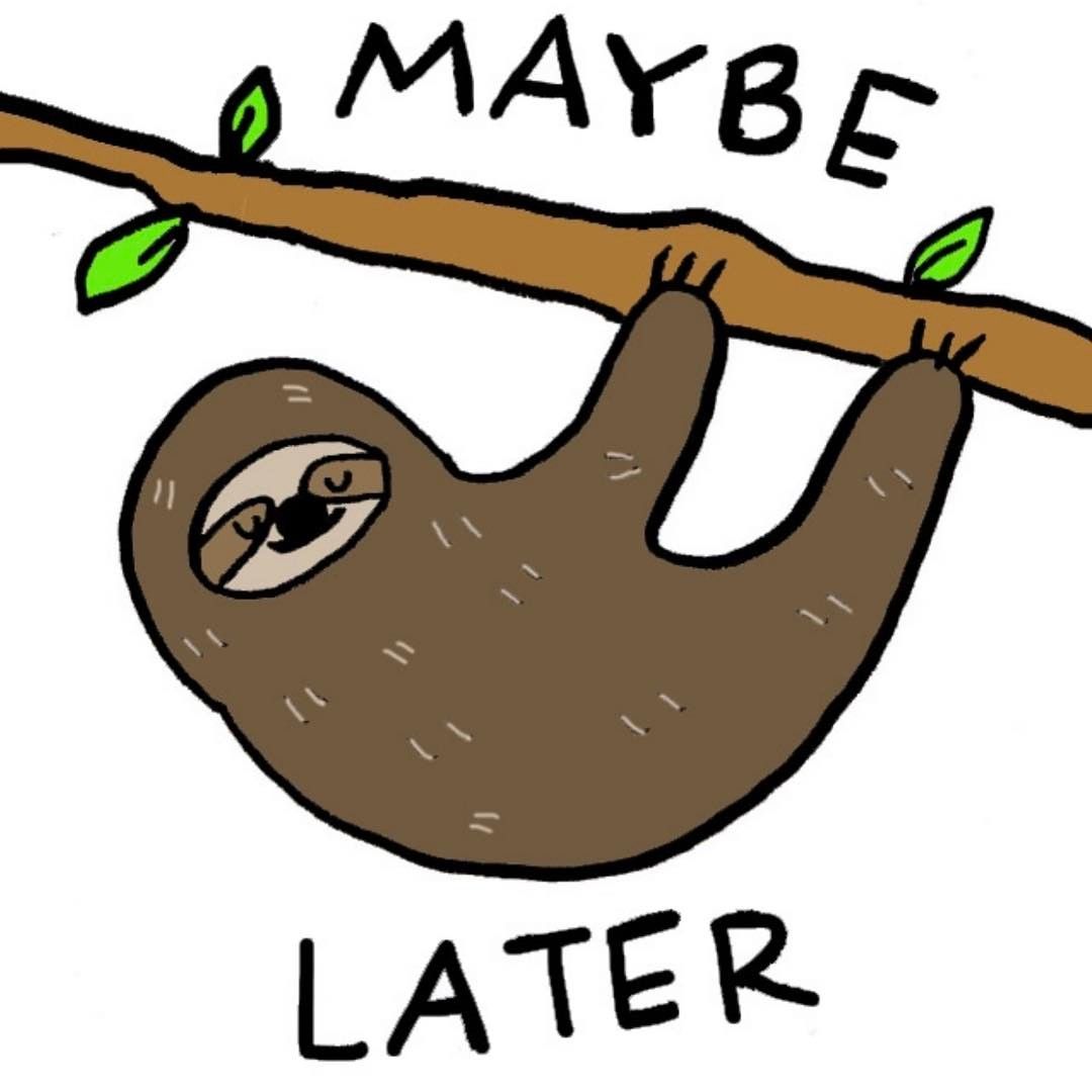 1080x1080 Pin By Tad On Sloth Sloth