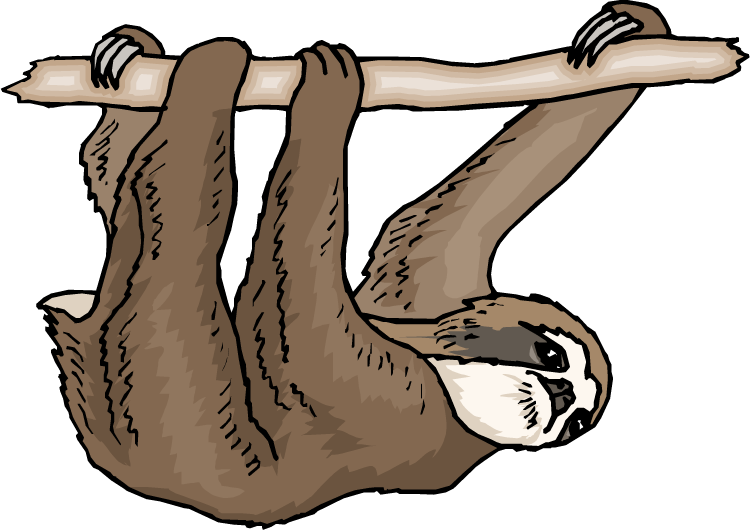 750x531 Sloth Clipart