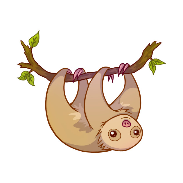 630x630 Baby Sloth