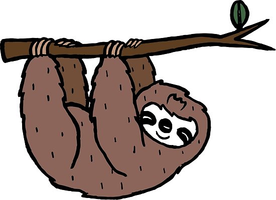 550x400 Baby Sloth Posters By Colorcoyote Redbubble