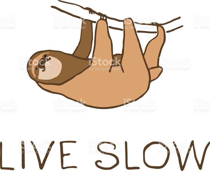 736x600 Best Sloth Tattoo Ideas Images On Sloth Tattoo