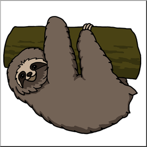 304x304 Clip Art Sloth Color I Abcteach