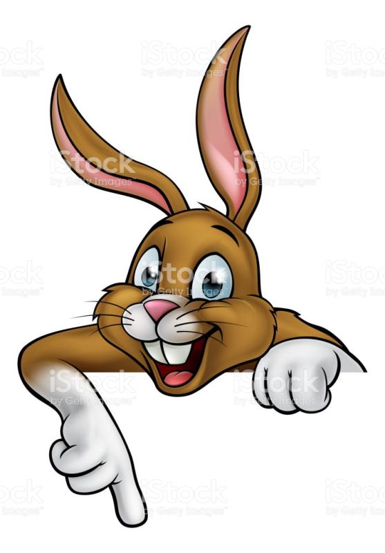 557x800 Bunny Rabbit Clip Art