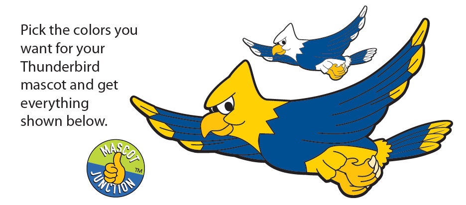 936x412 Thunderbird Mascot