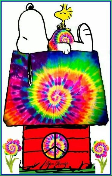 372x580 American Hippie Peanuts