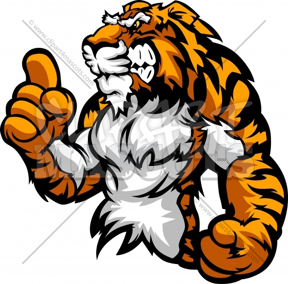 590x582 Tiger Clipart