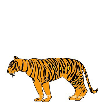 338x350 Tiger Clip Art Download This Free Clipart Images