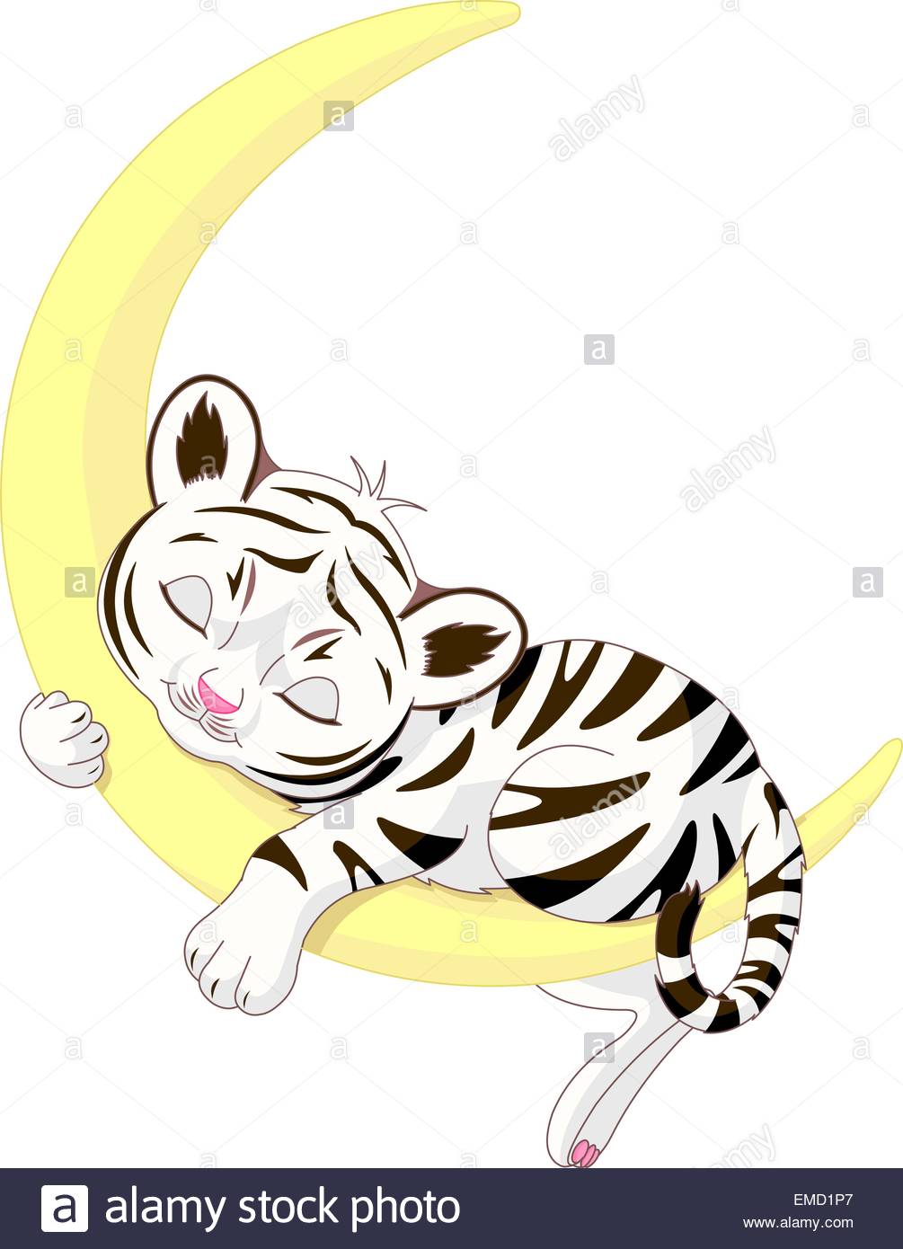 1005x1390 Tiger Cub Stock Vector Images