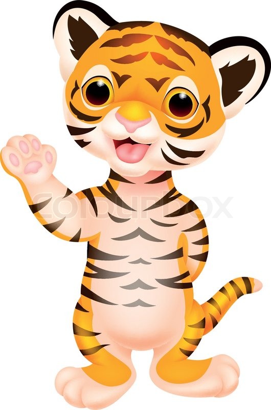 530x800 Tiiger Clipart Tiger Face