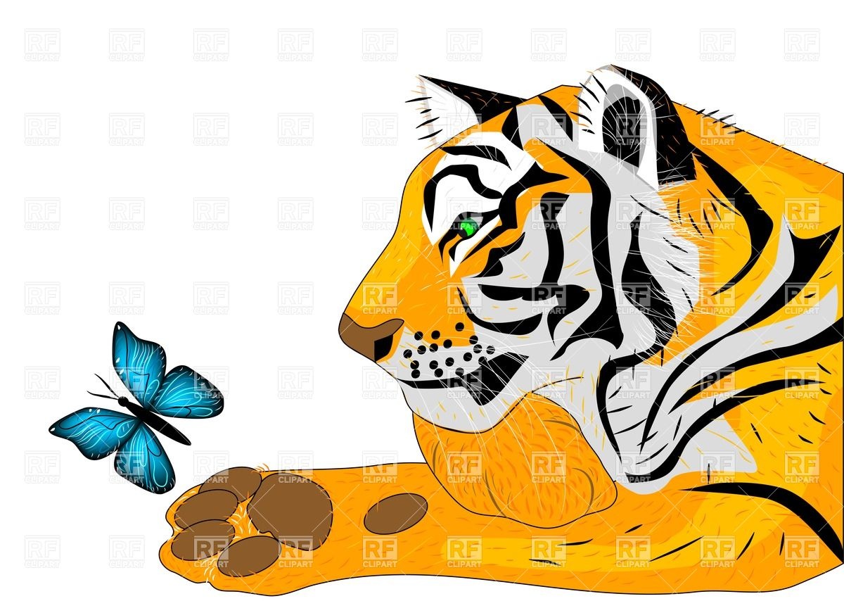 1200x854 Tiger And Butterfly Royalty Free Vector Clip Art Image