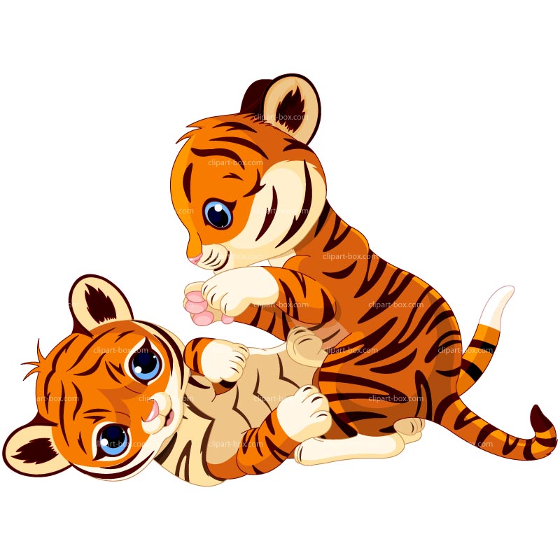 800x800 Tigres Clipart Animated'94019