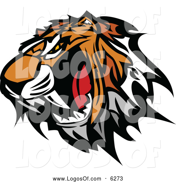 600x620 Vector Clipart Of A Furious Tiger Mascot Head Baring Teeth By