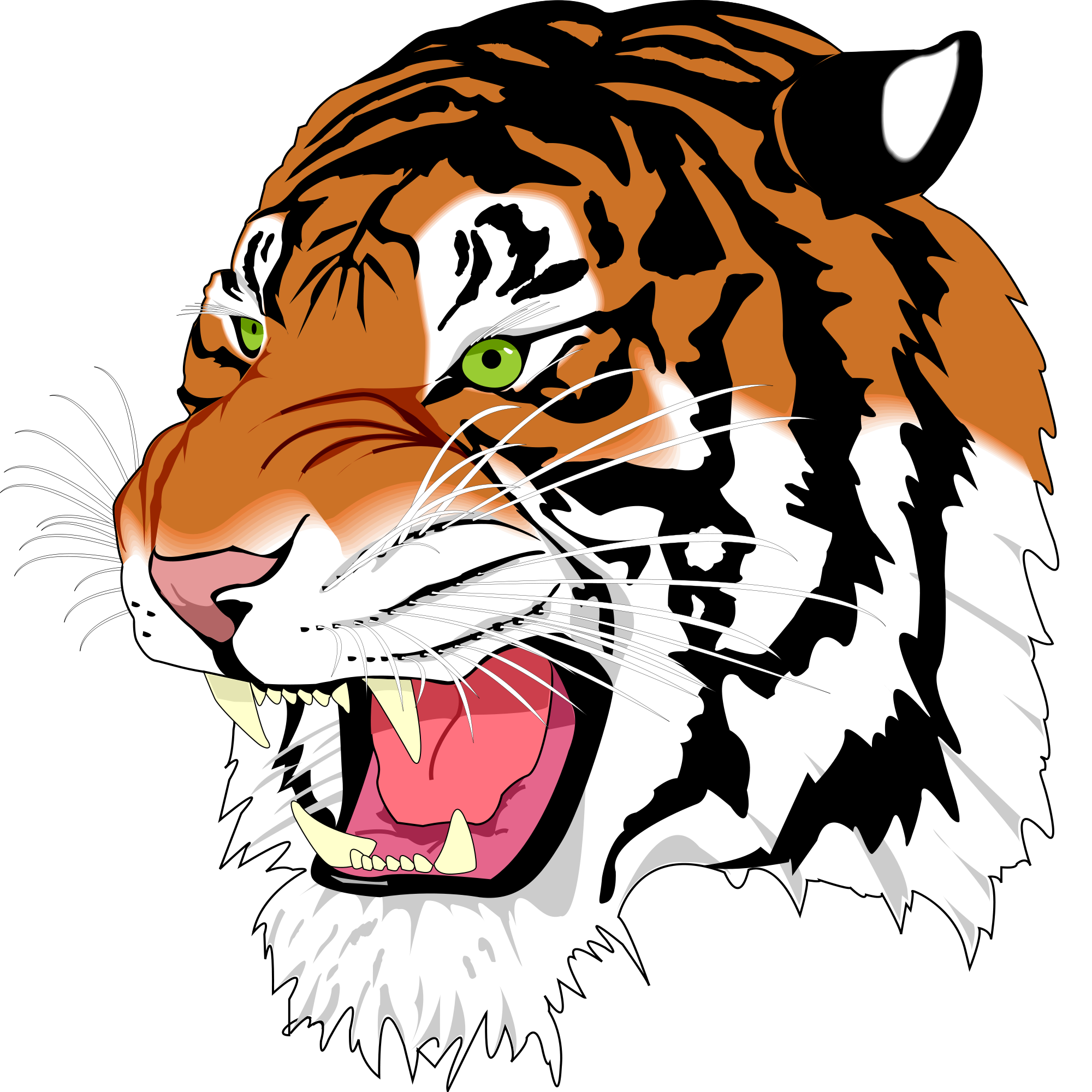 2000x2000 Tiger Clipart Images And Cartoon Pictures