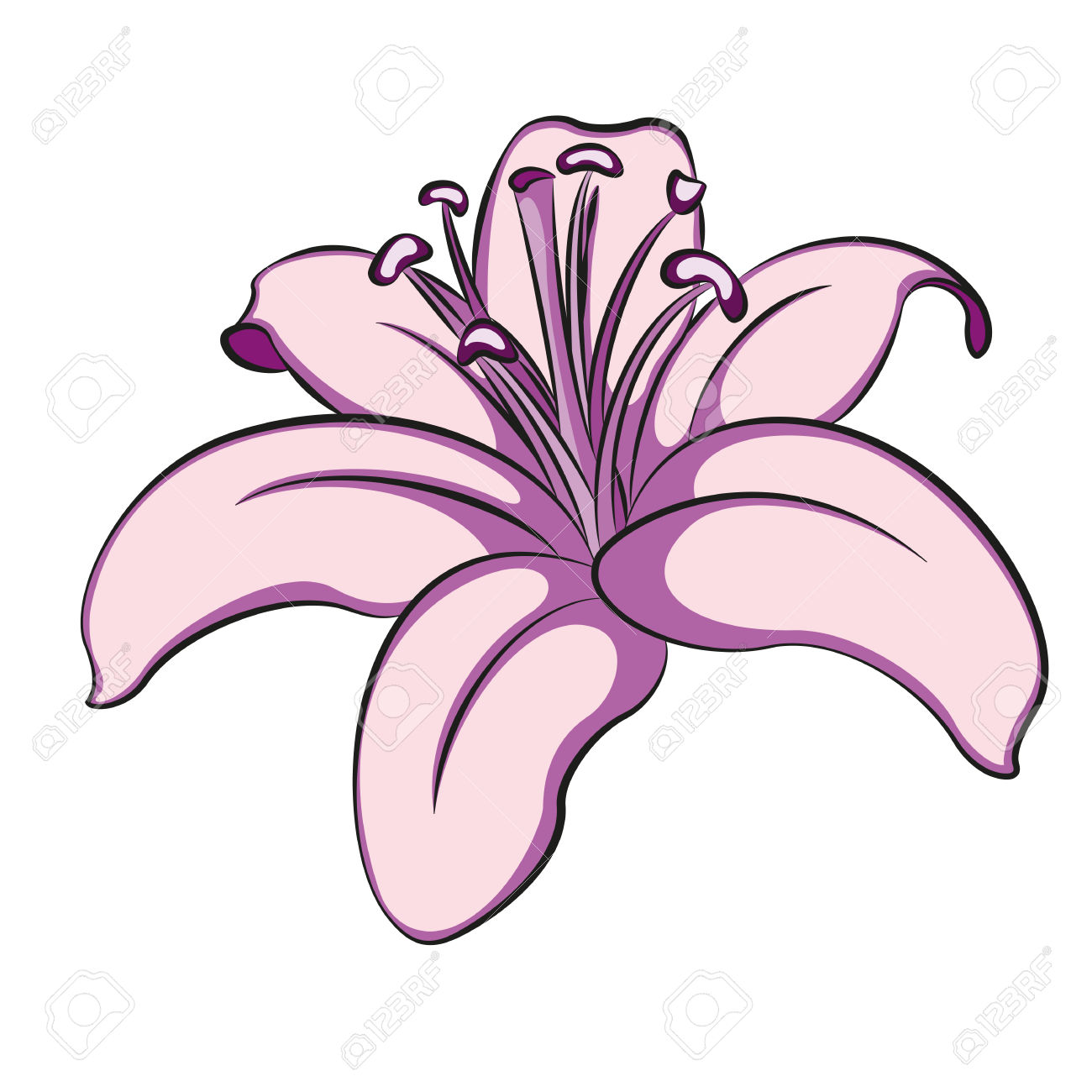 1300x1300 Lily Flower Clipart Gallery