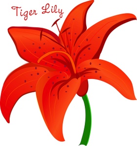 281x300 Tiger Lily Clipart Image Pretty Orange Tiger Lily Flower With Jpg