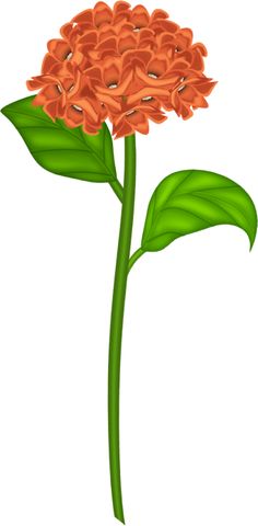 236x480 Lily Clipart Lily Flower Clip Art Flowers Clip