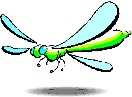 456x336 Tiger Shark Clipart Invertebrate Free Collection Download